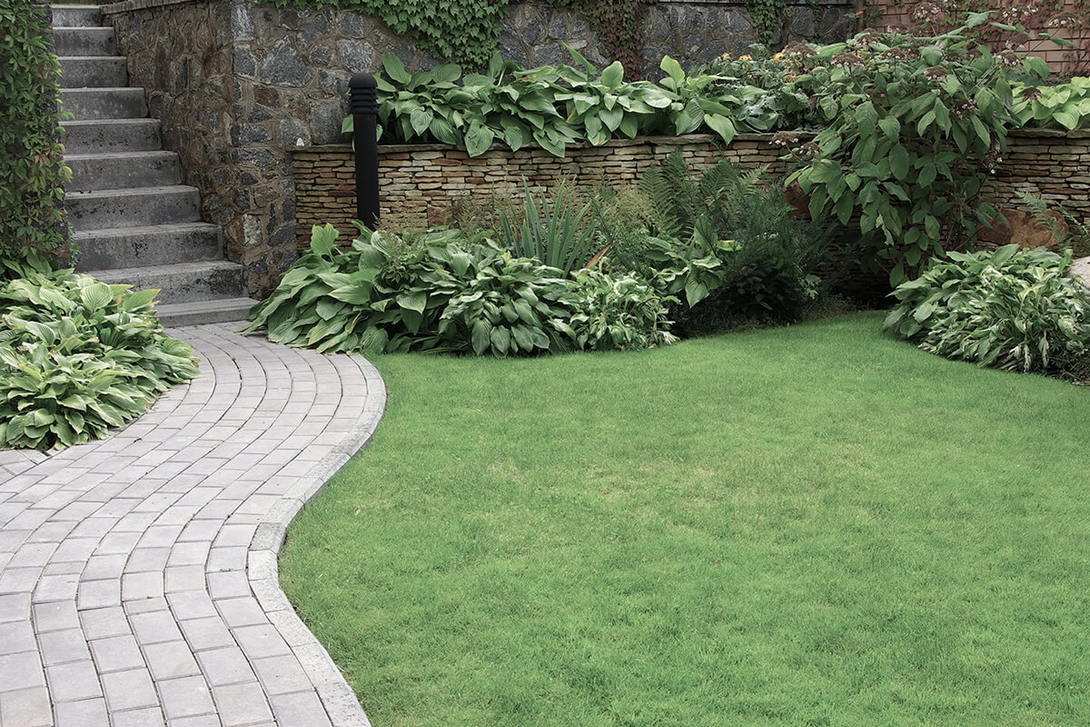 Welcome to Reaseheath Landscaping